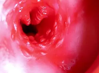 Big Red Cock Fucks Juicy Hole Of Cute Redhead, Moaning And Cumming At Any Moment