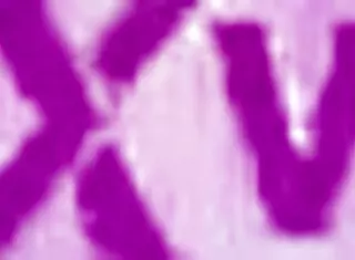 I'm Sofia Smith gettin dominated in 2 on 1 ass gapin.