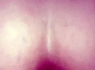 Swingers group finishes anal fucking with prostitute