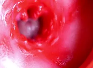 Big Red Cock Fucks Juicy Hole Of Cute Redhead, Moaning And Cumming At Any Moment