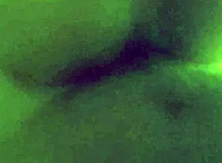 Thai ladyboy takes big cock deep.