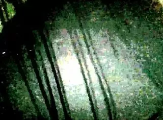 Kats Playhouse Session With Redhead Whore Getting Fucked Live In Group Chat