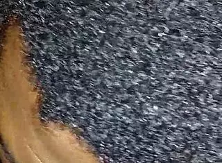 he cant get enough of licking my bbw pussy