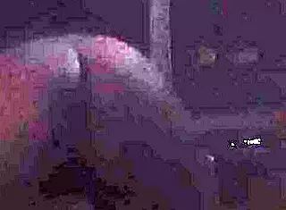 Watch Jiji Gold twerk that cute teen ass?