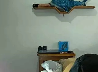 redhead slut teases husband then invites neighbor to groom her pussy