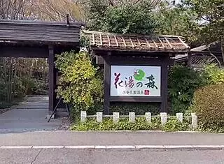 Sakura Hot Springs With Nacchi