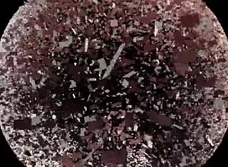 mistress teases ass on webcam pov jerking off.