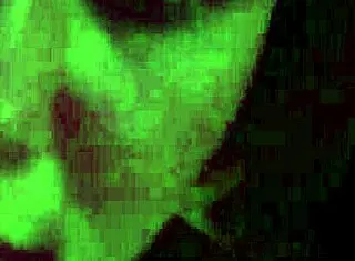 Hot blonde teen masturbates alone at night in homemade video