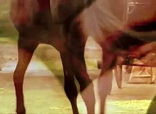 Lesbian nymphos in garage splash with piss. Wet pussies squirt during cunt licking.