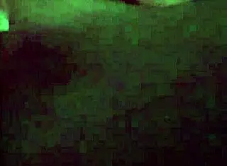 Hot blonde teen masturbates alone at night in homemade video