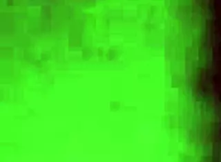 Outdoor Fucking With Moaning Pussy In Nature