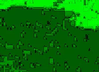 Outdoor Fucking With Moaning Pussy In Nature