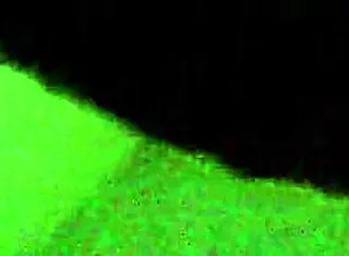 Sadira eats captain's dick at Orfeu nightclub