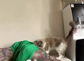 Rin with full tattoo gets aroused, sucks nipples, licks erect cock