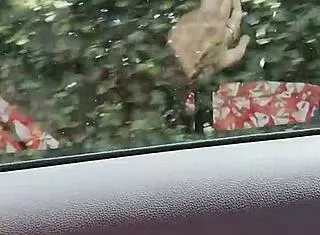 Housewife Feels Thrilled Riding with Tits Exposed