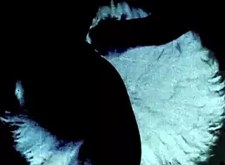 Vintage British lesbian lovers in swinging sixties