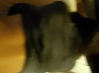 Con mi prima en motel - chilena