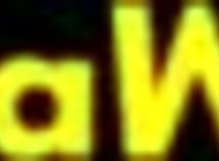 Giochi adulti diventano sesso passionale nel bosco