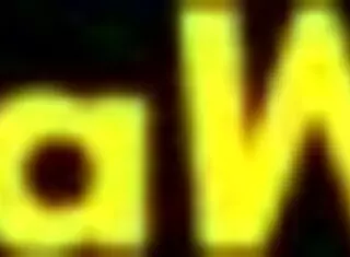 Adult games turned into passionate sex in forest