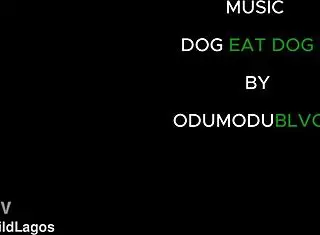 Nigerian Girls Spread Asses for Big Black Cock Rough Fucking