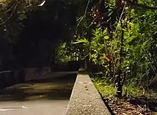 ting xuan enjoys outdoor privacy in the park