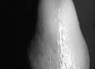 Pleasure1 Orgasm4 With Small Tits Blowjob