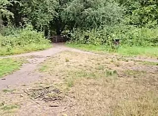 Exploring clapham common cruising trails in june 2025 for some outdoor fun.