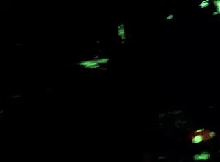 Intense blowjob on the net