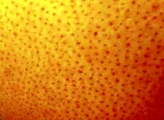 Dozier313 deeply fucks ebony BBW's ass for creampie