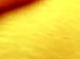 Dozier313 deeply fucks ebony BBW's ass for creampie