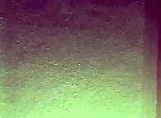 Empino A Mi Hermanastra Y Me Vengo En Su Vagina