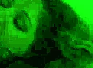 Why does burglar tie kiki the maid and make her cum on big tits?