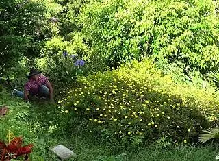 Stranger Tricks Naive April