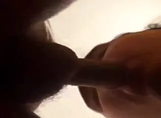 Amateur Mommy Performs Detailed Blowjob on Cachorra in Repeated Intense Oral Action Sequence