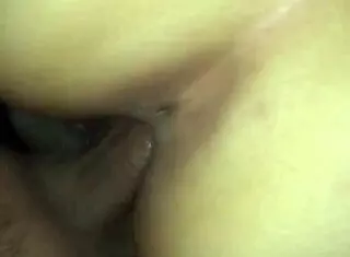 Mexican Hotel Encounter Features Intense Cogida Action