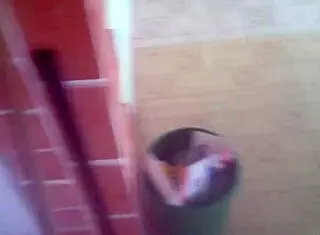 i love using my prima's vibrador outdoors in public for that thrilling part 2 experience