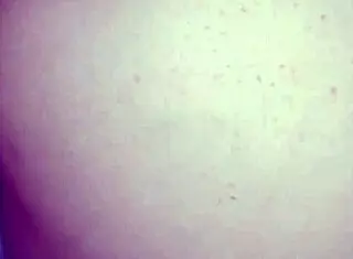 intriguing contrast in bending over young latina milf with big ass for textured condom doggystyle as mexican secretary