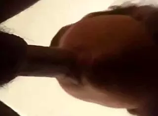 Amateur Mommy Performs Detailed Blowjob on Cachorra in Repeated Intense Oral Action Sequence