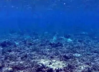 it's time to philosophize and have fun showing off the biggest toy by the pool