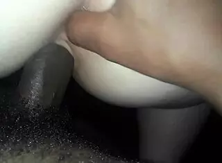 Doggystyle Pinning In Corner