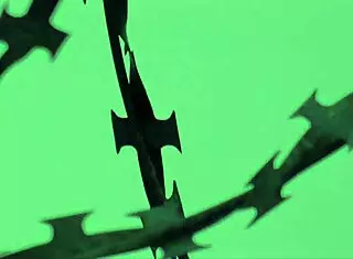 Kally Xo Back Starring in Her New Scene the Prison Break Xxx