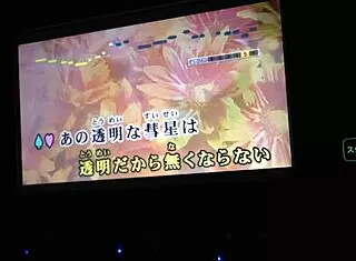 Japanese Number One Internet Karaoke for Men