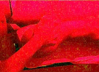 So I MET this HOT Brazilian with a BIG ASS at the beach and we did POV fucking in athletic style