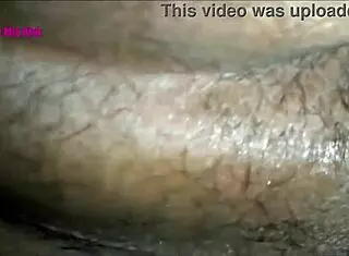 Jean Rdz Hotwife Begs Cuckold Bull to Impregnate Her with Big Tits