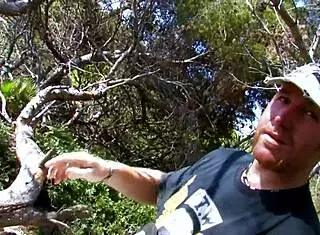 She Craves Intense Outdoor Anal Drilling with Deep Cowgirl Riding