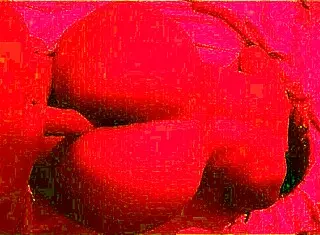 So I MET this HOT Brazilian with a BIG ASS at the beach and we did POV fucking in athletic style