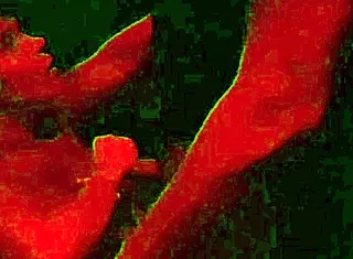 Paid a mature milf for blowjobs all night long