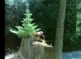 Indian Village Sex Unfolds In Horny Ranch Country Setting