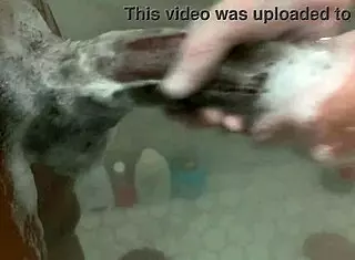 big step sister teases with step brother's massive bbc when parents are out