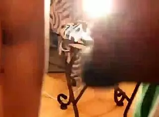 Exotic Busty Blonde Luscious Kisses Sucks Rides Rome Majors Cock